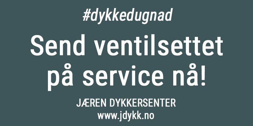 Korona-service-jdykk-850px