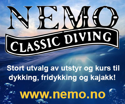 Nemo IAB 400px
