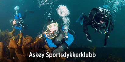 Askøy Sportsdykkerklubb