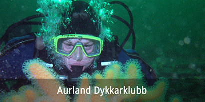 Aurland IL – Dykkergruppa
