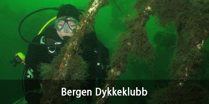 Bergen Dykkeklubb