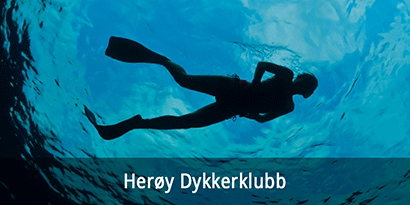 Herøy Dykkerklubb