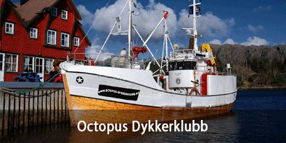 Octopus Dykkerklubb