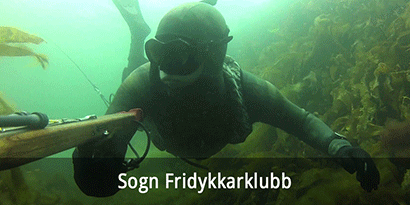 Sogn Fridykkarklubb