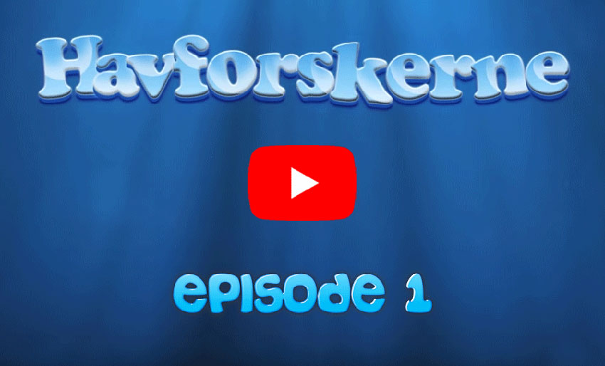 Leter etter torsk med strandnot