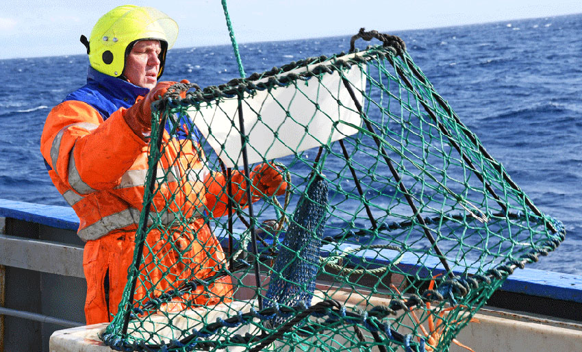1200 snøkrabbeteiner fjernet fra havbunnen