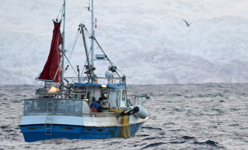 Torskefiske