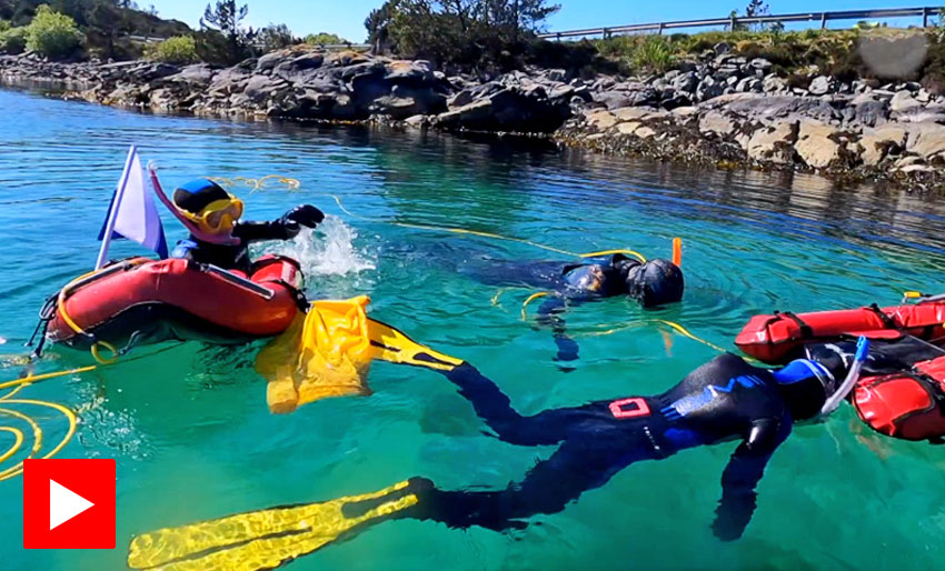 Fridykking og snorkling med barn