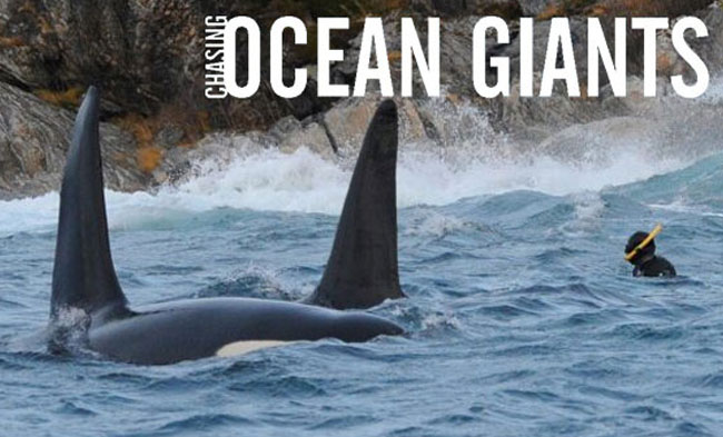 Chasing Ocean Giants
