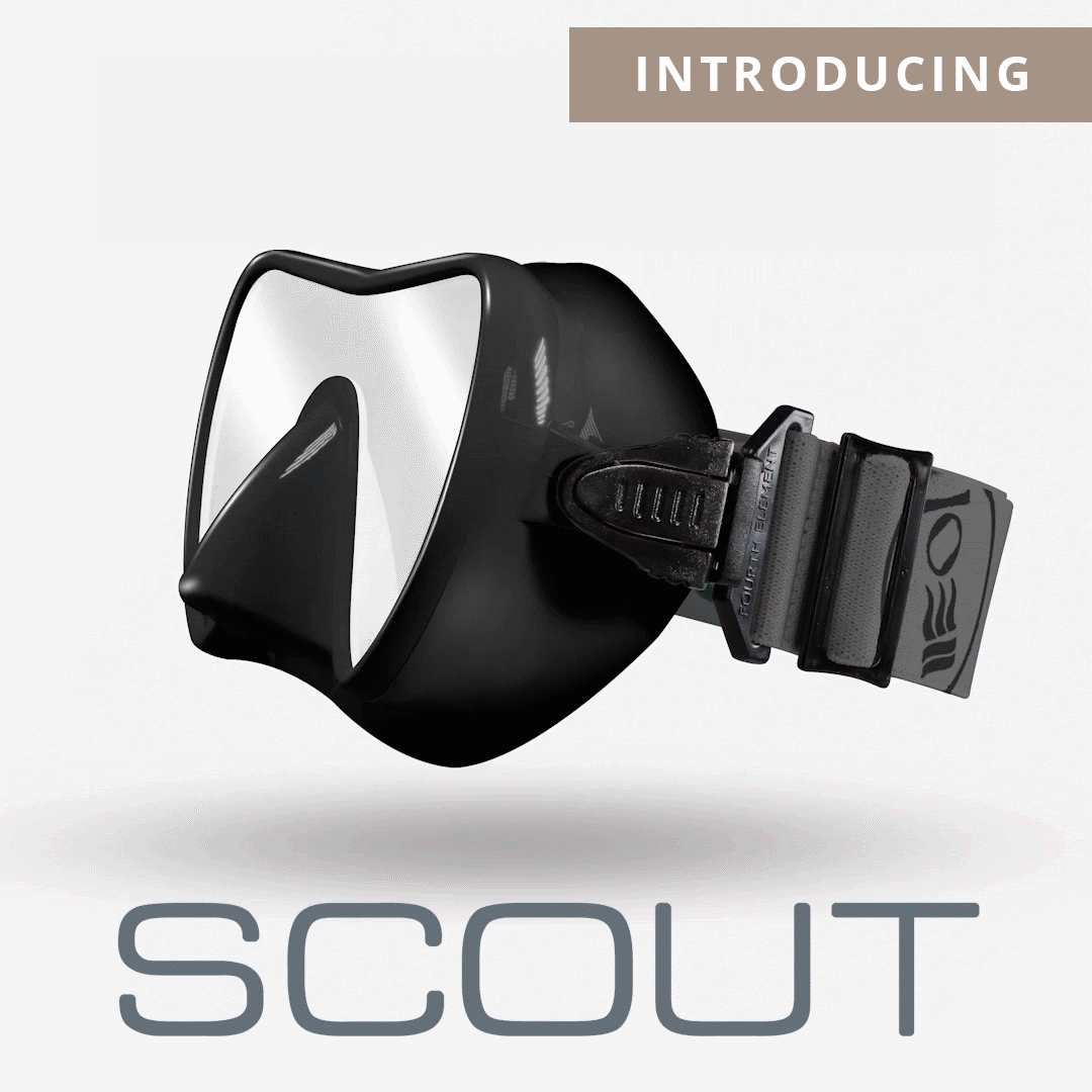 Scout
