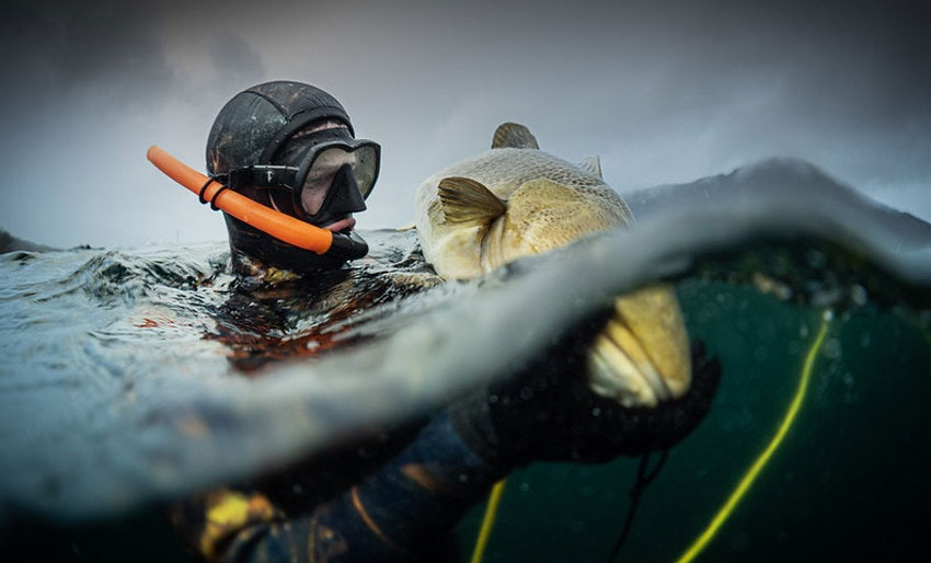 Ta steget fra fridykker til uv-jeger