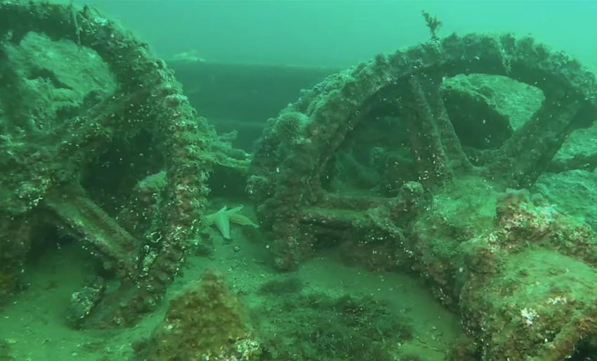 M/S Neuenfels i Narvik havn