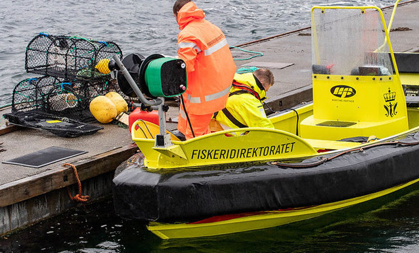 Økende problem med ulovlige teiner