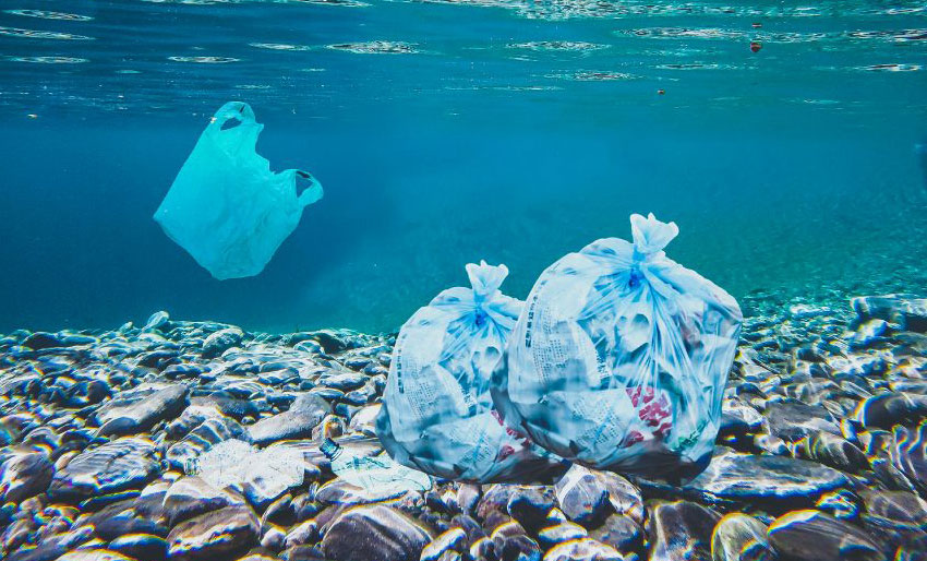 Søk støtte fra Handelens Miljøfond