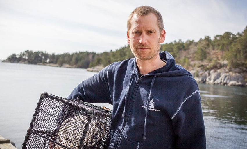 Hvordan går det med hummeren?