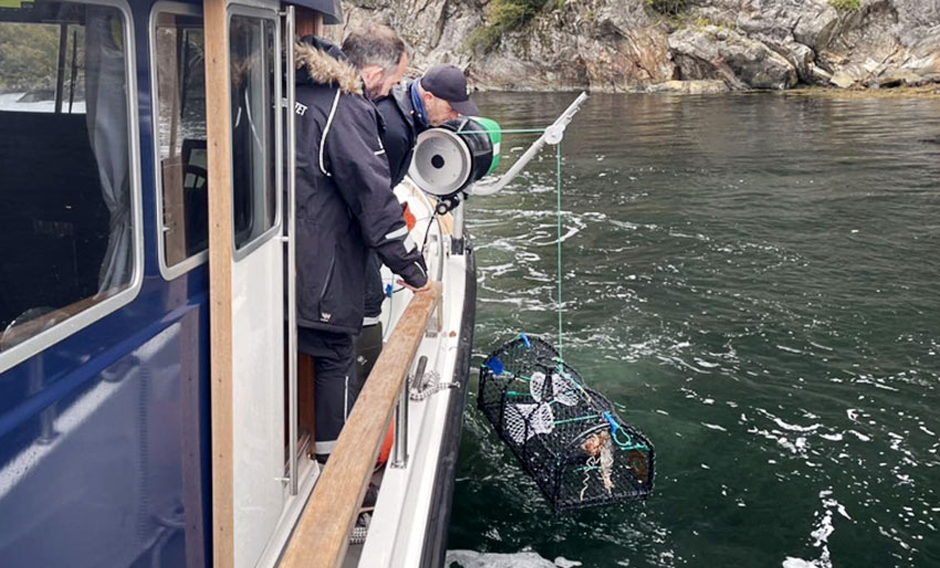 Storaksjon mot ulovlig hummerfiske