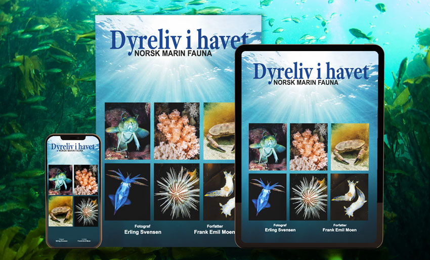 Dyreliv i Havet kommer som eBok