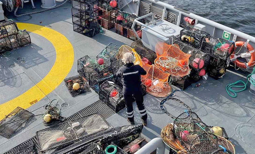 30 anmeldes for ulovlige teiner