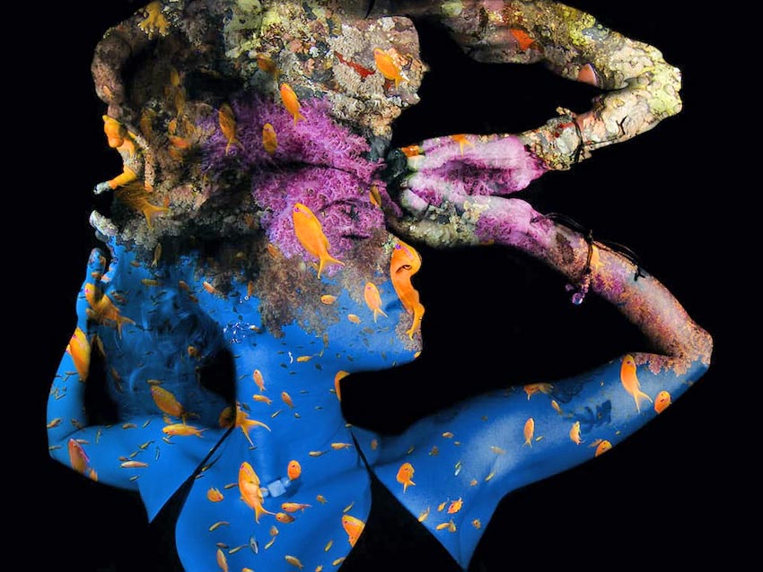 World Oceans Day Photo Competition