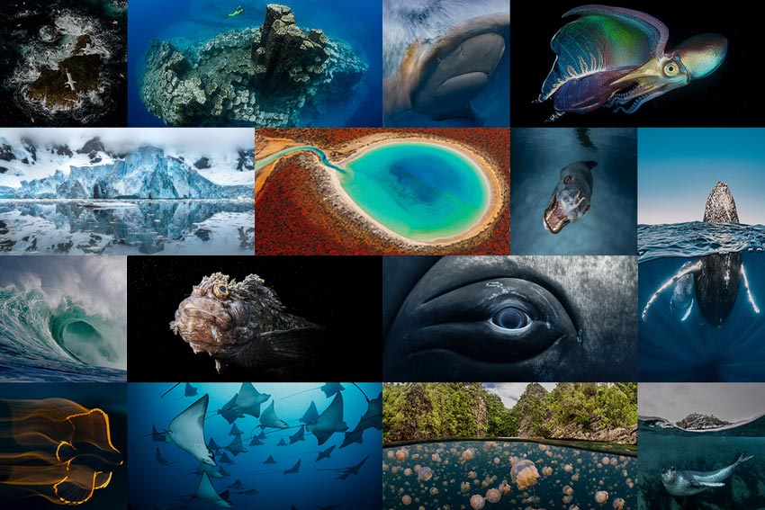 Vinnerbildene fra World Oceans Day