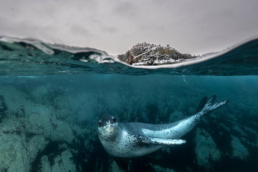 Lars von Ritter Zahony