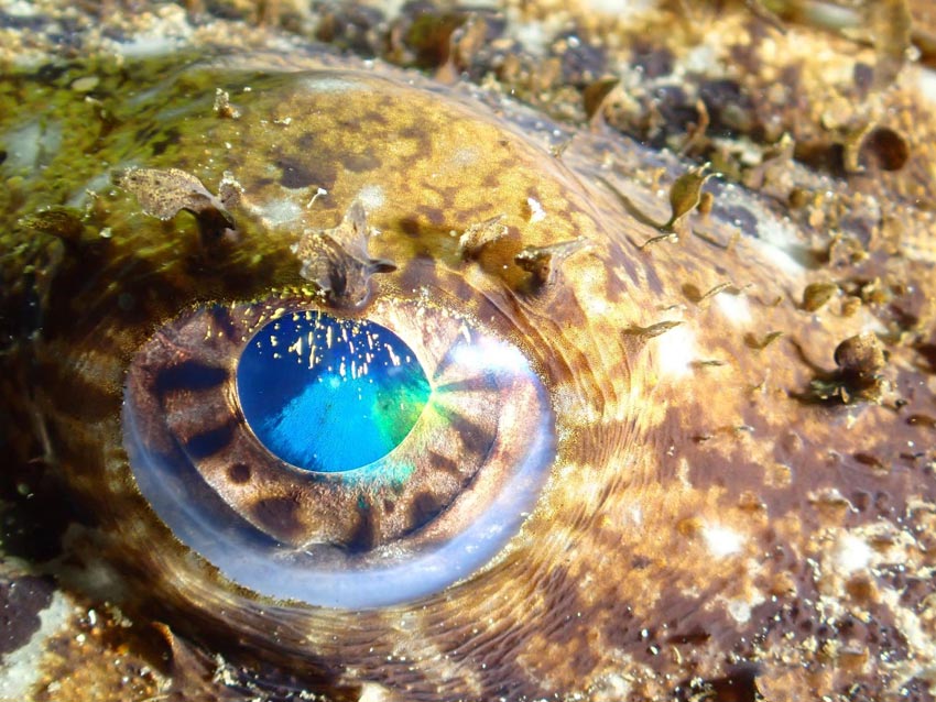 Jørn Svabø Knudsen