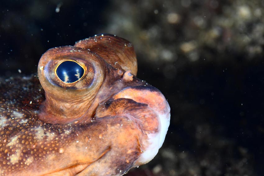 Morten Sætrang Haakonsen
