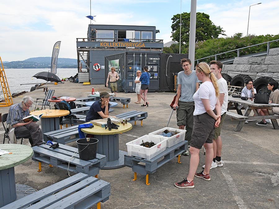 Kollektivbrygga