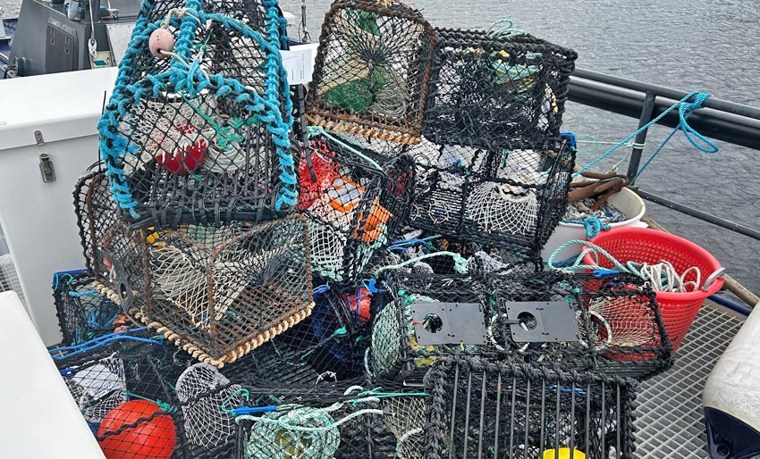 Kontrollerer fiske av hummer