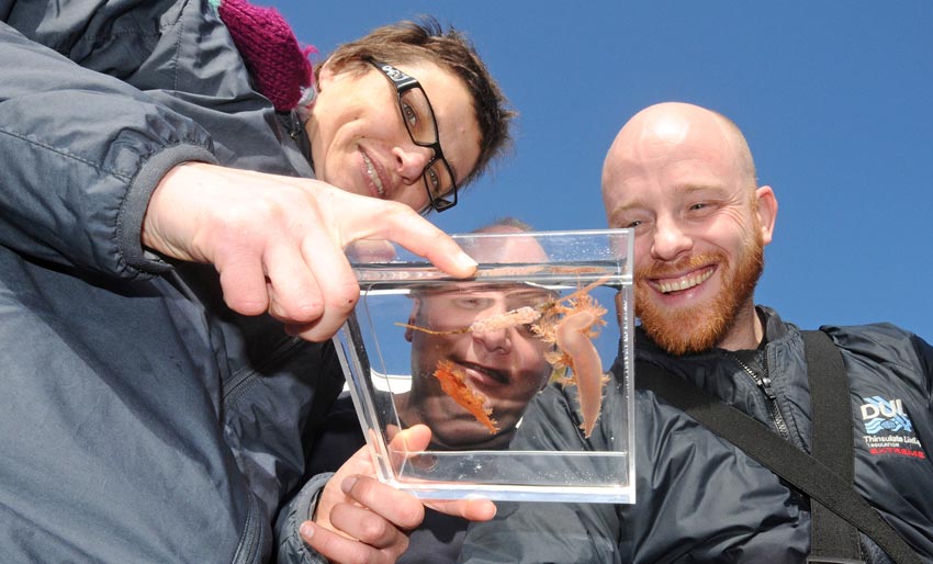 Nakensnegleentusiaster