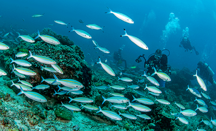 Opphever reiseråd til Madagaskar
