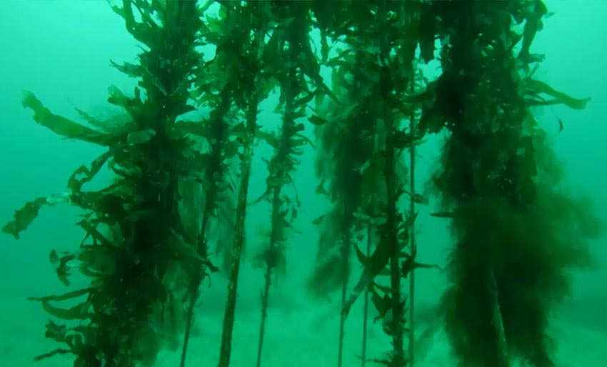 Så resultater på rekordtid