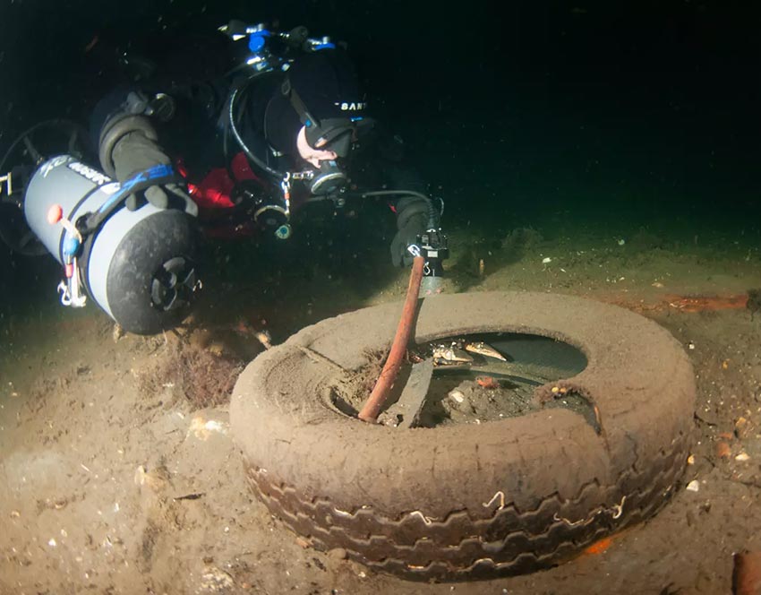 Sjokkfunn i Oslofjorden