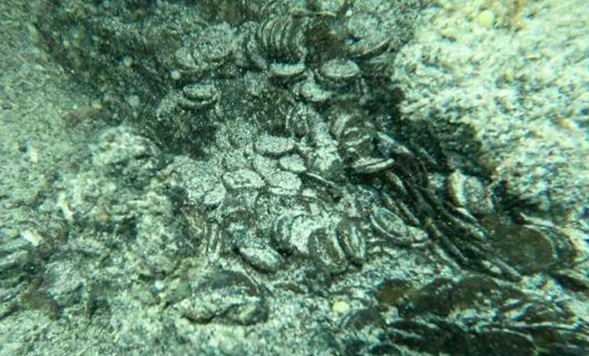 Utrolig myntfunn på Sardinia