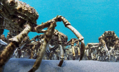 Et enormt berg av krabber