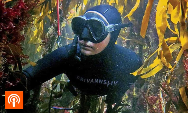 Hopp i havet med Elisabeth Tønnessen