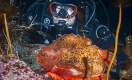 Nå er det deadline i Nordisk Mesterskap