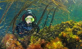 Fikk du med deg NM-bildene?