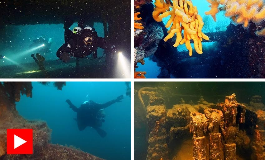 M/S Stråssa i Narvik havn