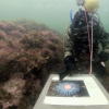 Har du prøvd snorkleløypa i Asker?