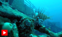 Vrak i Florida: USNS Vandenberg