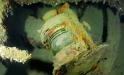 Se video: M-1104 Jan Hubert