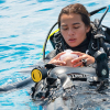 Ta PADI Rescue Diver hos OFDS