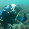 Ta PADI Open Water i Ålesund i juni