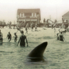 Haisommeren i Jersey i 1916