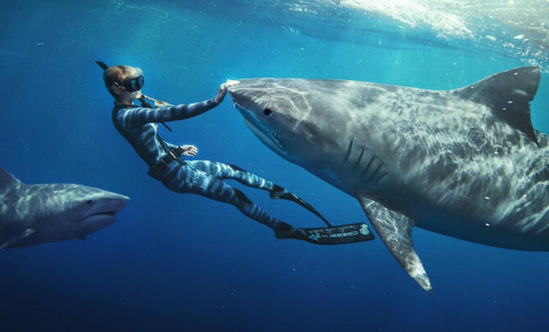 Se «Haihviskeren» på Netflix