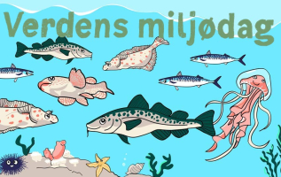 Bli med på Verdens Miljødag