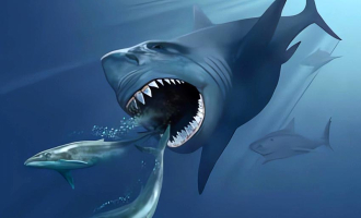 Så mye måtte megalodon spise