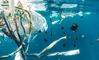 Vi feirer Verdens miljødag