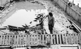 Samtalekveld om Sjøvollskipet